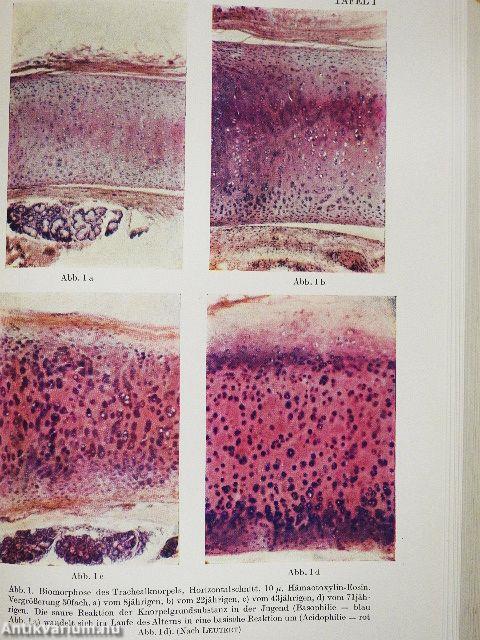 Altern und Krankheit als problem der Biomorphose