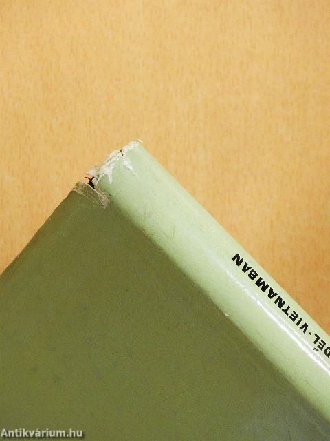 Dzsungelháború Dél-Vietnamban