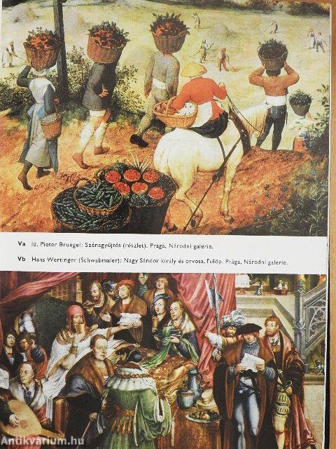 Képes divattörténet az ókortól napjainkig