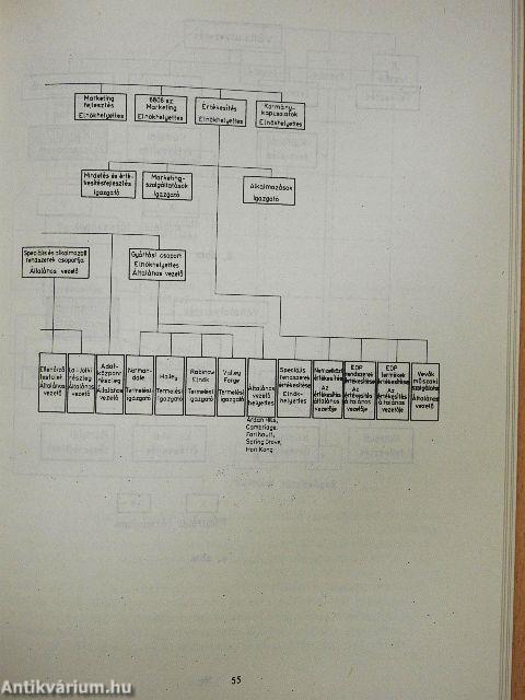 A szocialista nemzetközi vállalat