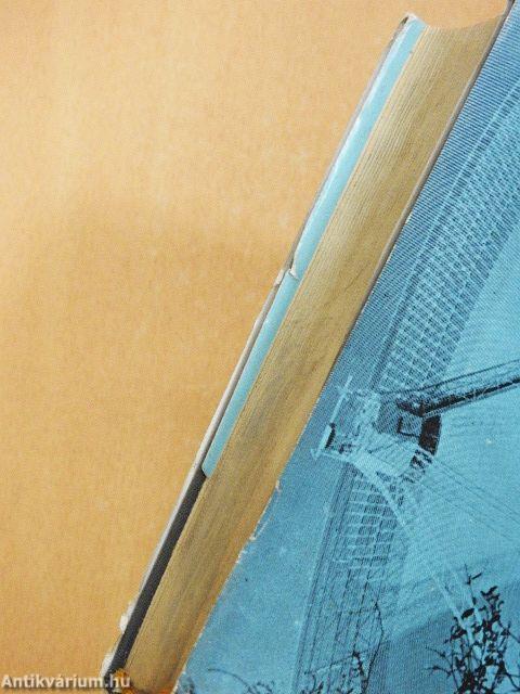 Csillagok, kozmosz, világmodellek