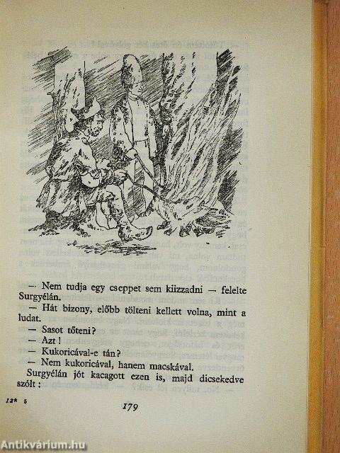 Ábel a rengetegben
