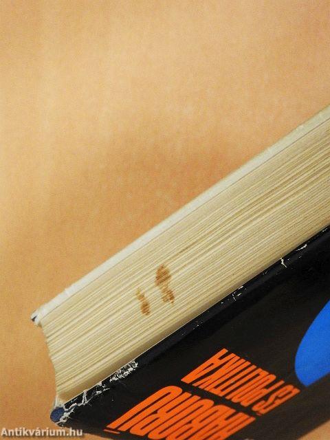 Háború és politika