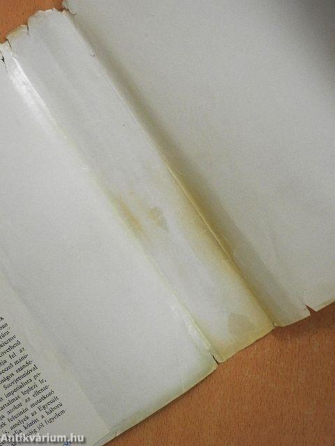 Háború és politika