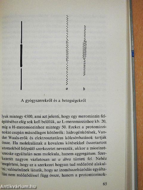 Válogatott tanulmányok