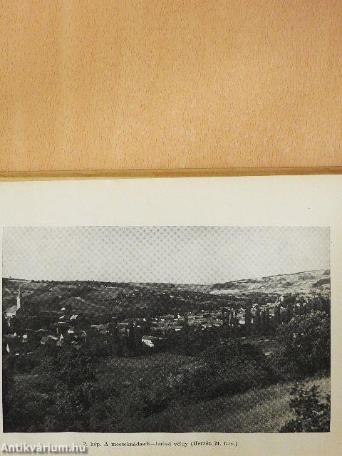 A Magyar Tudományos Akadémia Dunántúli Tudományos Intézetének évkönyve 1958