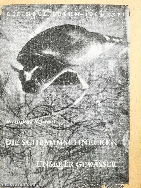 Die Schlammschnecken unserer gewässer