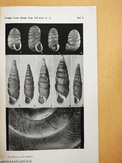 Fragmenta Faunistica Hungarica 1944