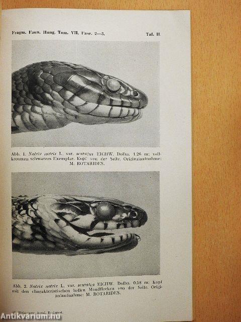 Fragmenta Faunistica Hungarica 1944