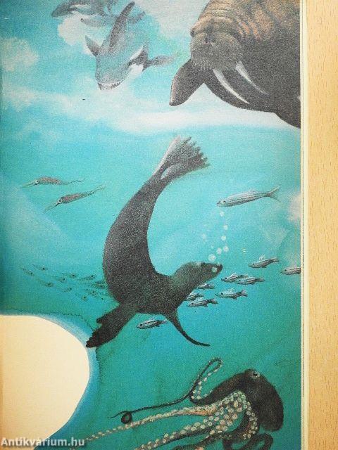 Whales and Dolphins