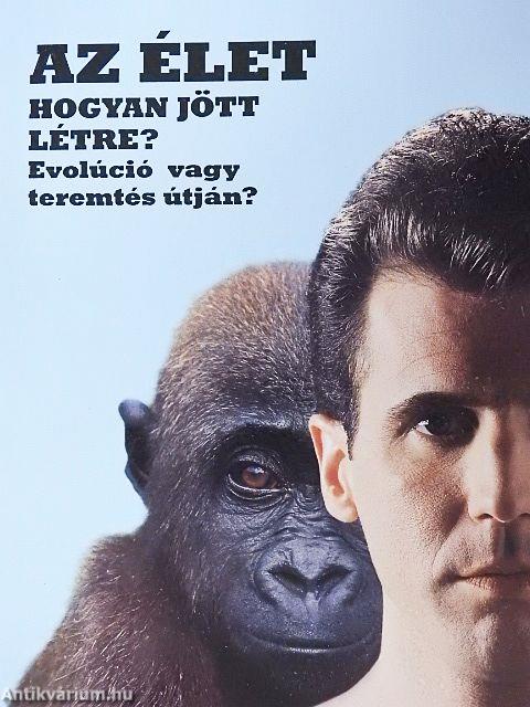 Az élet - hogyan jött létre?