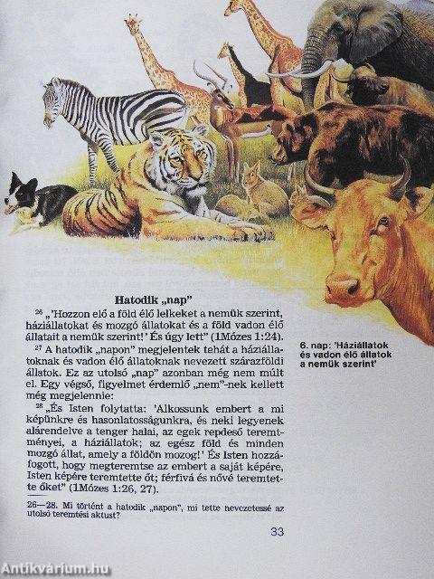 Az élet - hogyan jött létre?