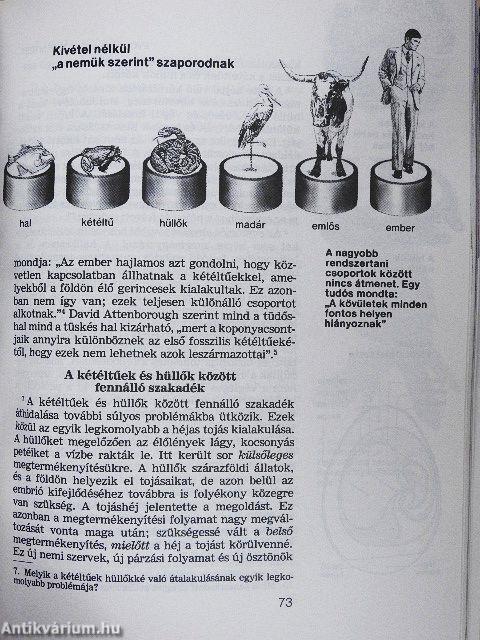 Az élet - hogyan jött létre?