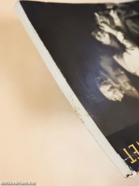 Németalföld művészete a XVI-XVII. században