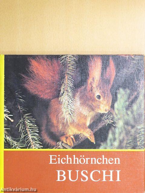 Eichhörnchen Buschi