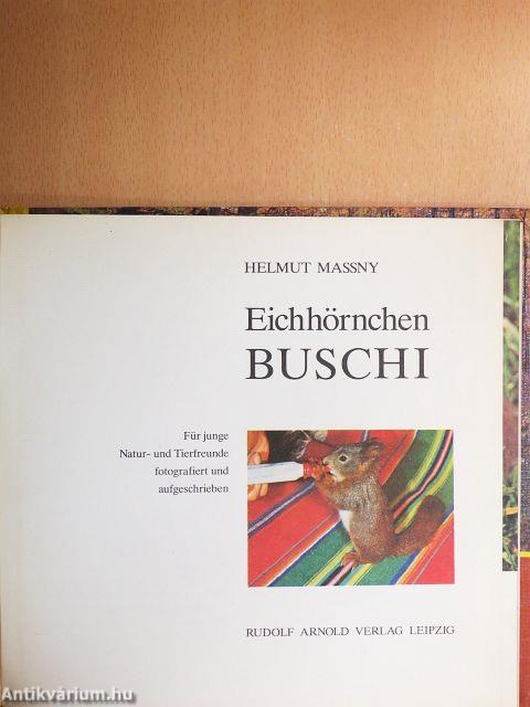 Eichhörnchen Buschi