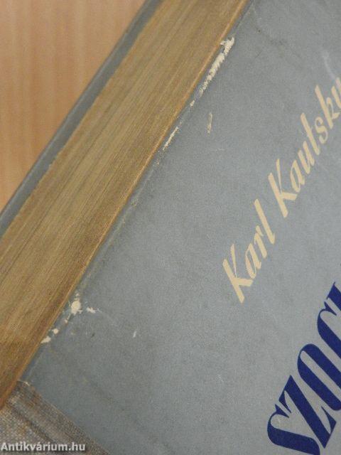 A szocializmus előfutárai