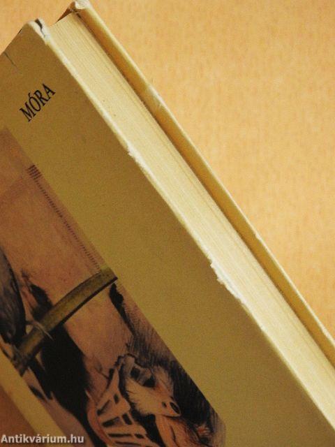 Madárlátta tollaslabda