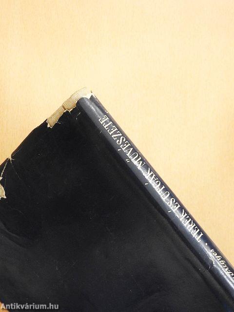 Terek és utcák művészete