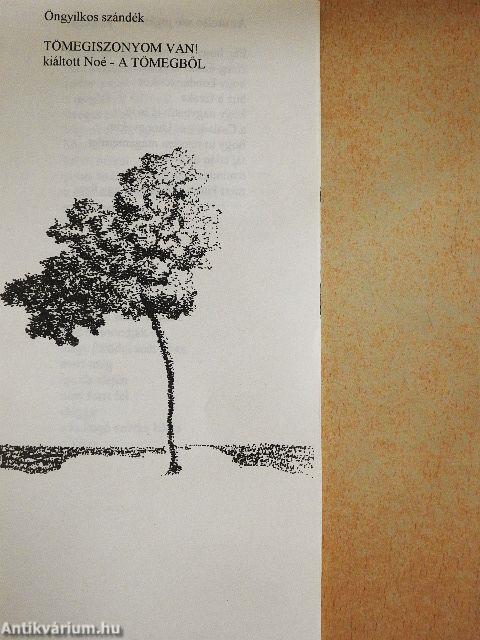 Sorok közötti gondolatok