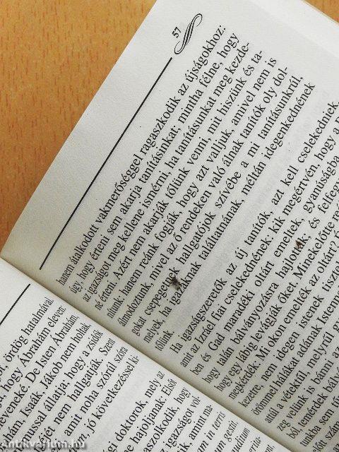 Igazságra vezérlő kalaúz