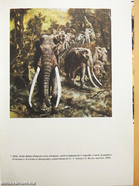 A Föld és az élet fejlődése