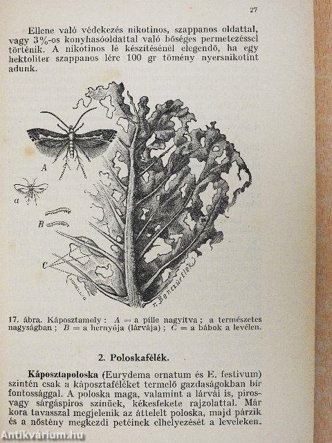 Szántóföldi növények kártevői