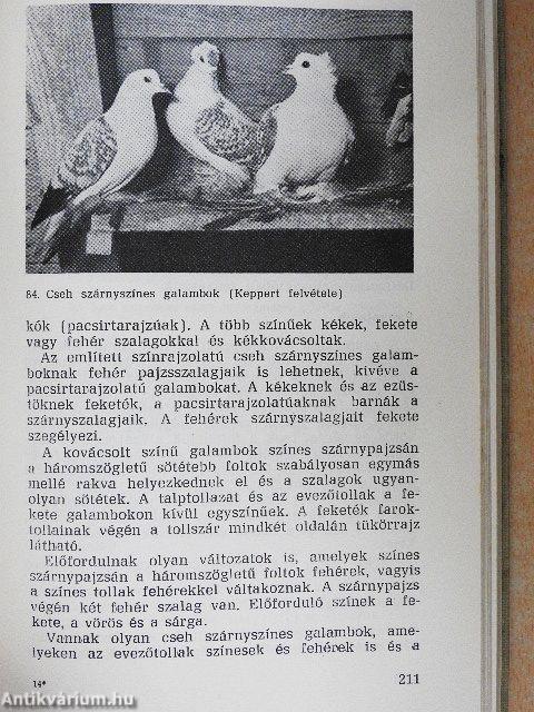 Kisállattenyésztők kézikönyve