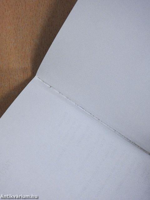 Városban pusztai magányod