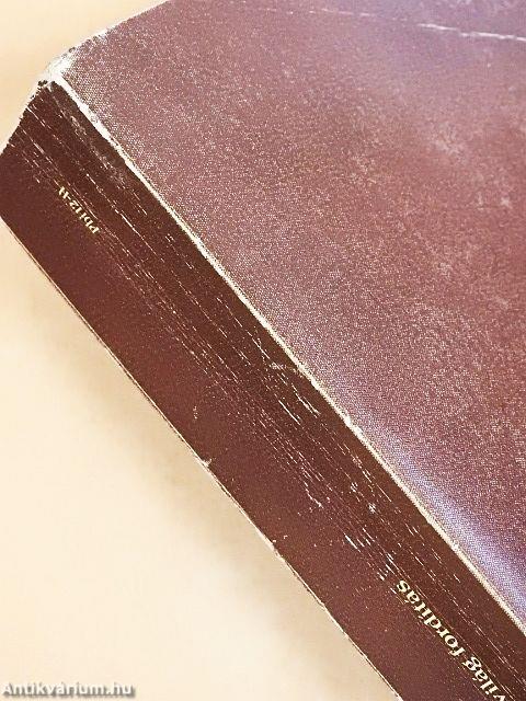 A Szentírás új világ fordítása