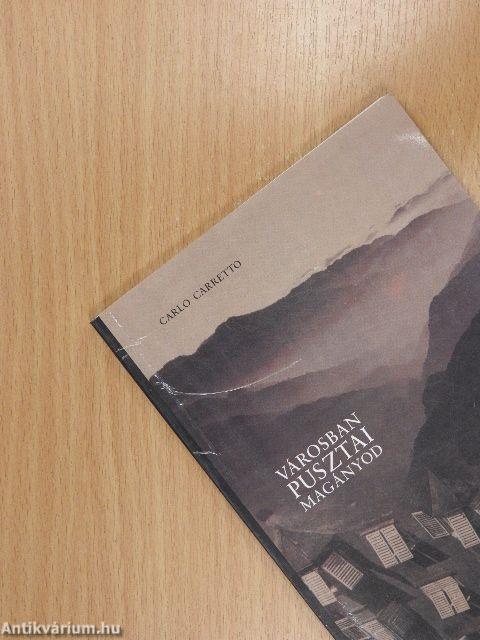 Városban pusztai magányod