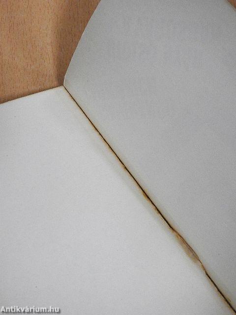 Utolsó nyár a városban