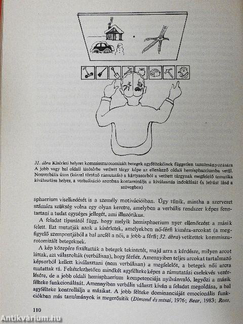 A pszichiátria biológiai alapjai