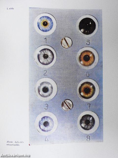 Embertan és emberszármazástan