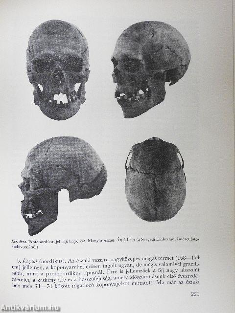 Embertan és emberszármazástan