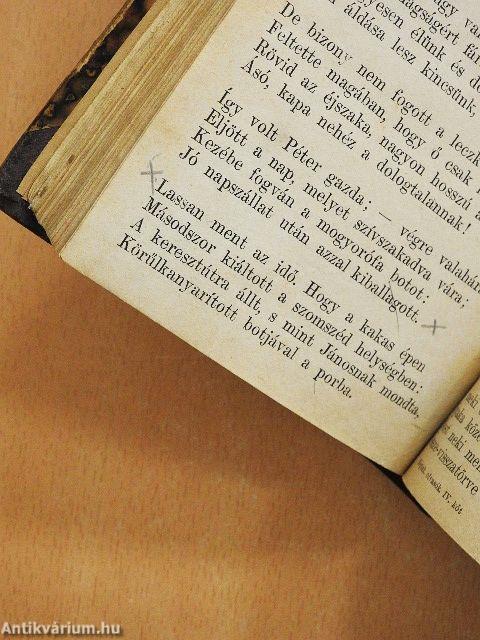 Magyar olvasókönyv a népiskolák IV. osztálya számára