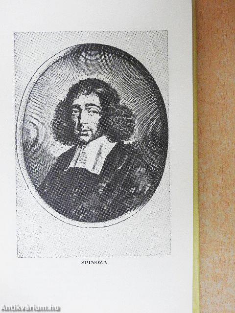 Politikai tanulmány/Levelek