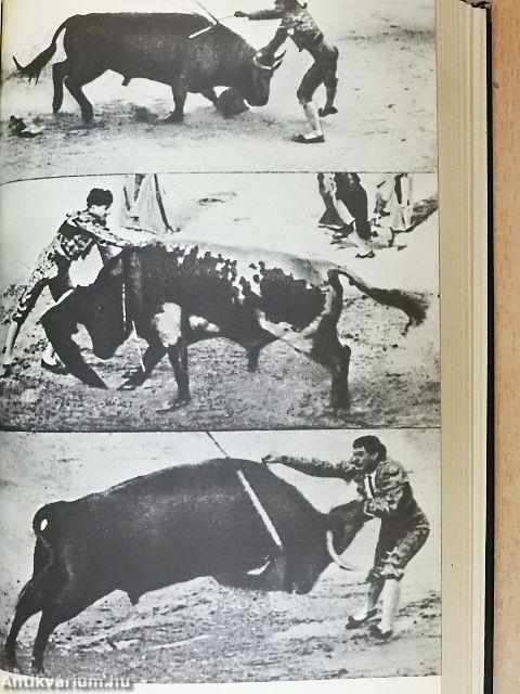 Afrikai vadásznapló/Halál délután