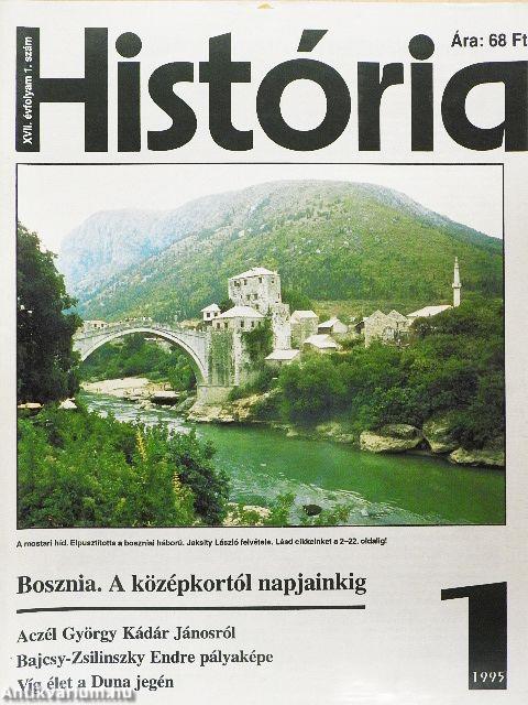 História 1995. (nem teljes évfolyam)
