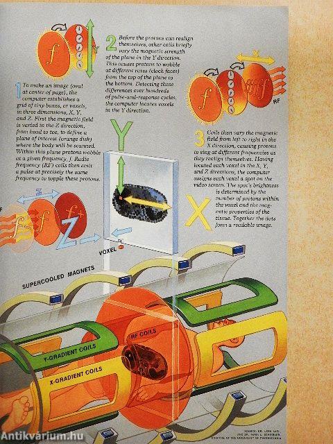 National Geographic January-December 1987.