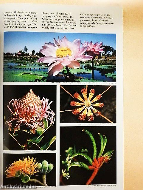 National Geographic February 1988