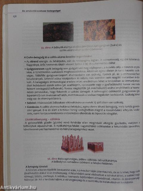 A szervrendszerek kórtana és klinikuma