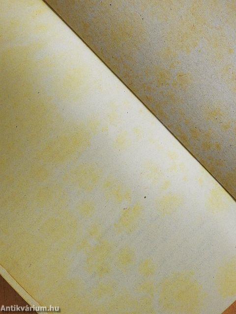 Amikor az oroszlán zabál