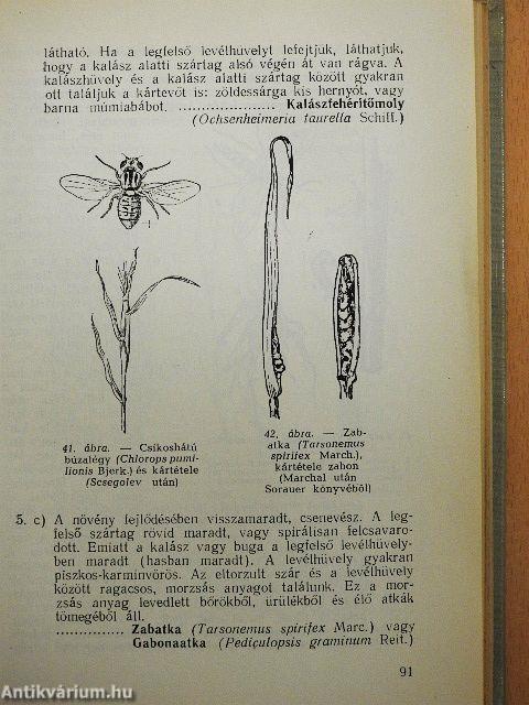 Mezőgazdasági rovarhatározó