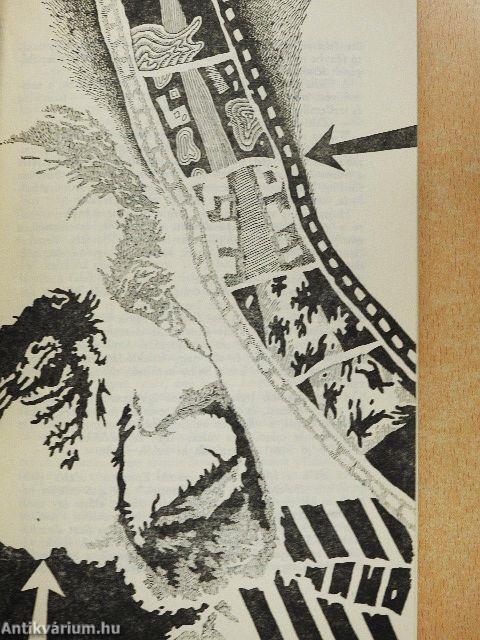 Az Androméda-törzs