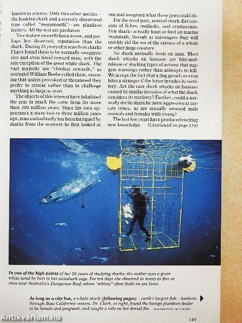 National Geographic August 1981