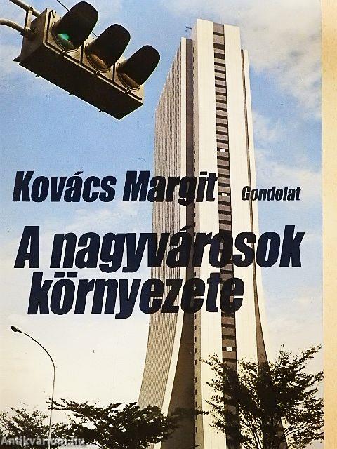 A nagyvárosok környezete