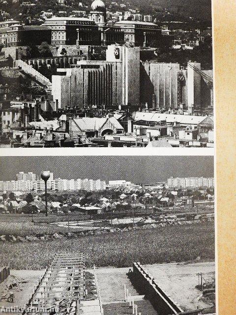 A nagyvárosok környezete