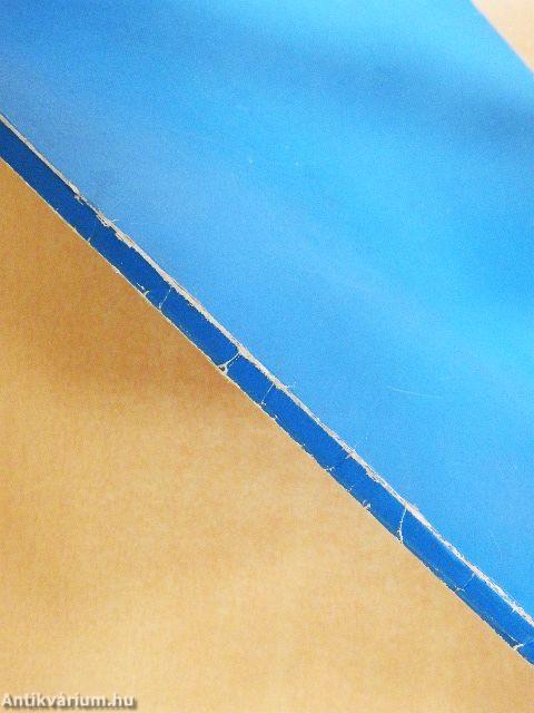 Hűség a néphez, hűség a párthoz!