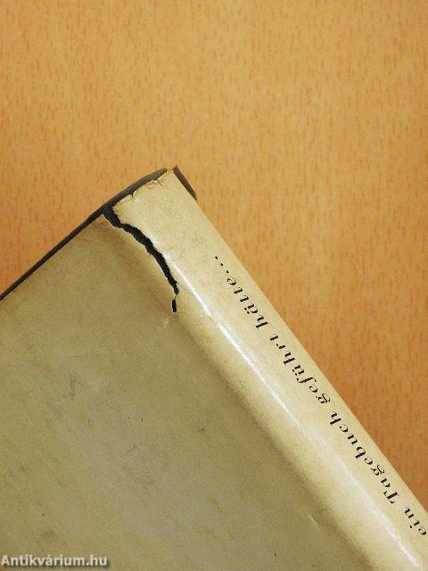 Wenn Wagner ein Tagebuch geführt hätte...